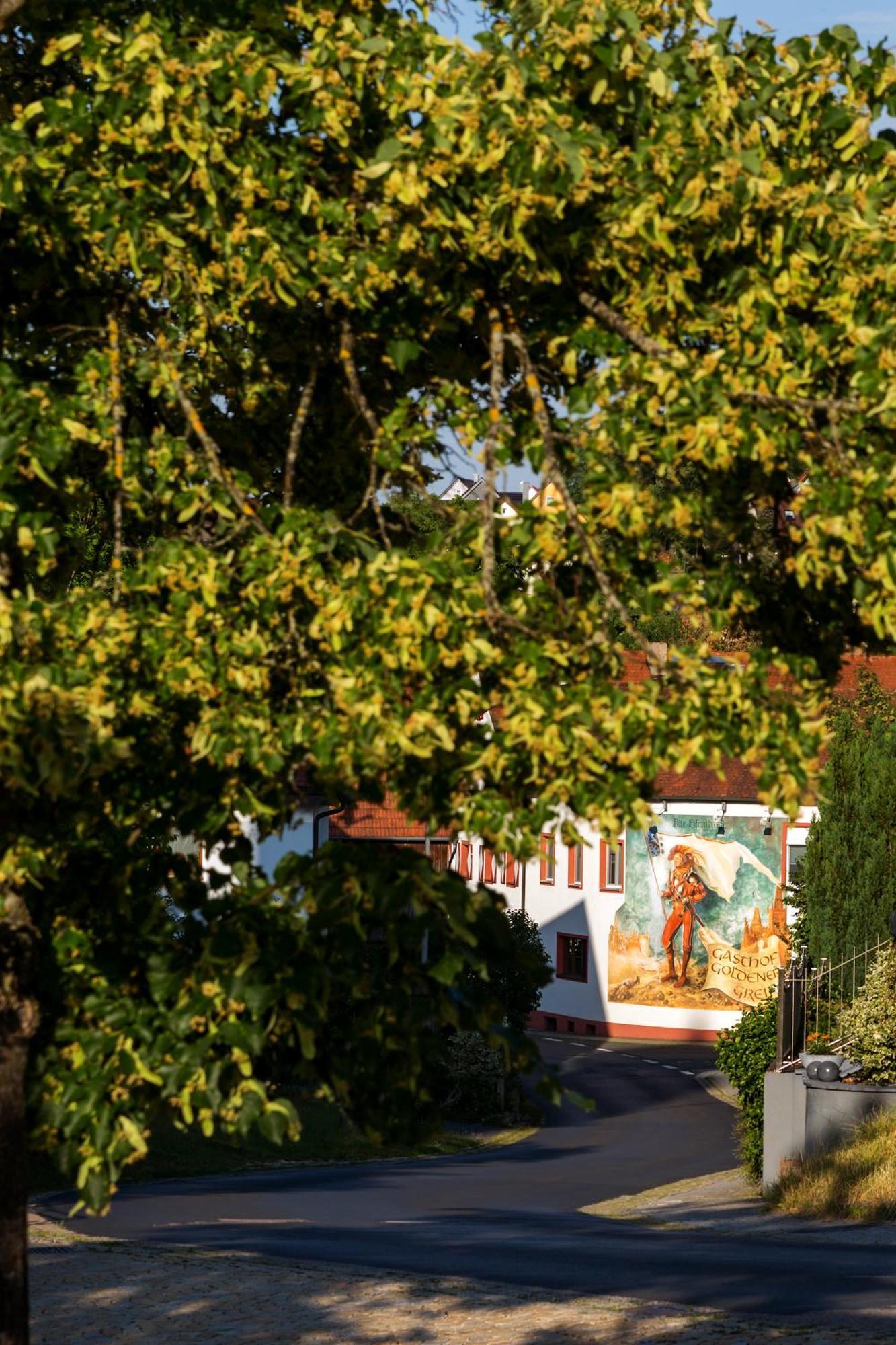 Wirtshaus & Hotel Goldener Greif Edelsfeld Buitenkant foto